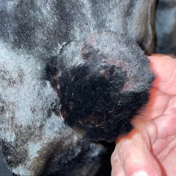 ❤️ Women’s VINTAGE MILTON L. GUMBERT PORTLAND, OREGON Glossy Fur Jacket Soft - Picture 3 of 12